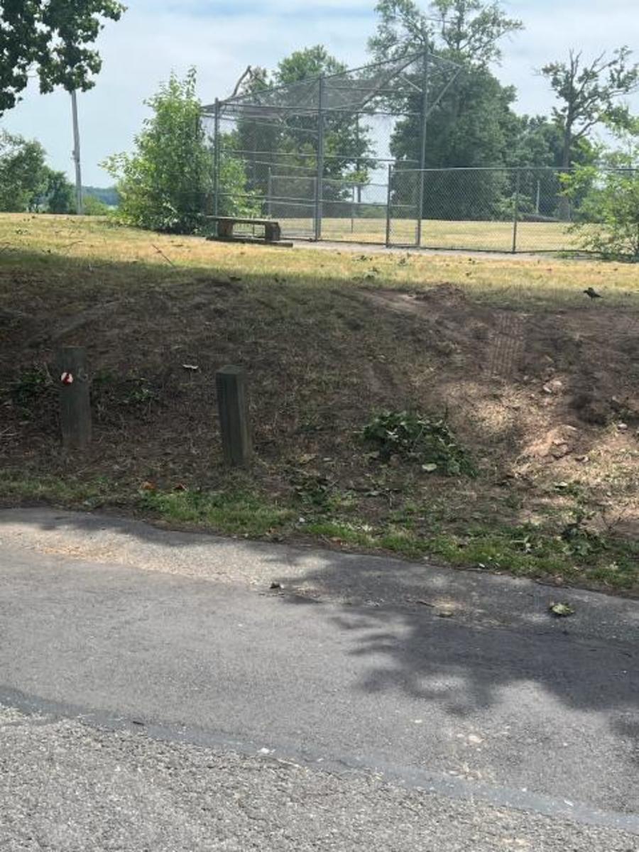 Photographic documentation of the work as submitted to the city's 311 record.