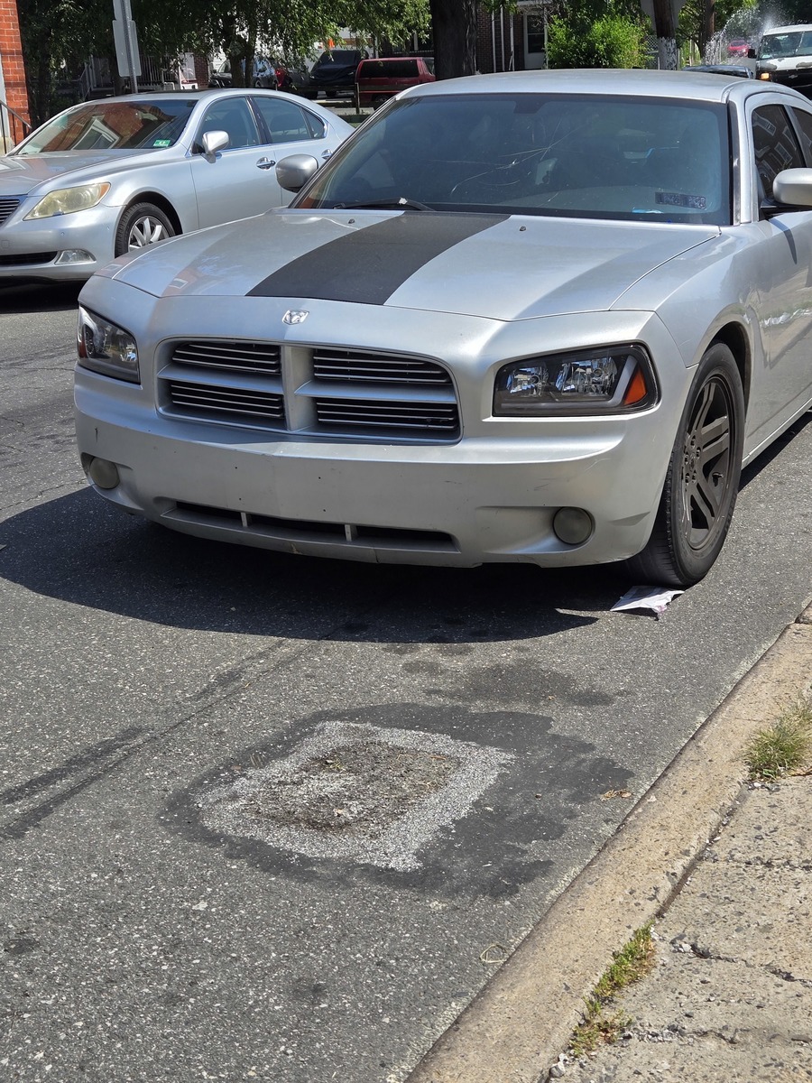 Photographic documentation of the work as submitted to the city's 311 record.
