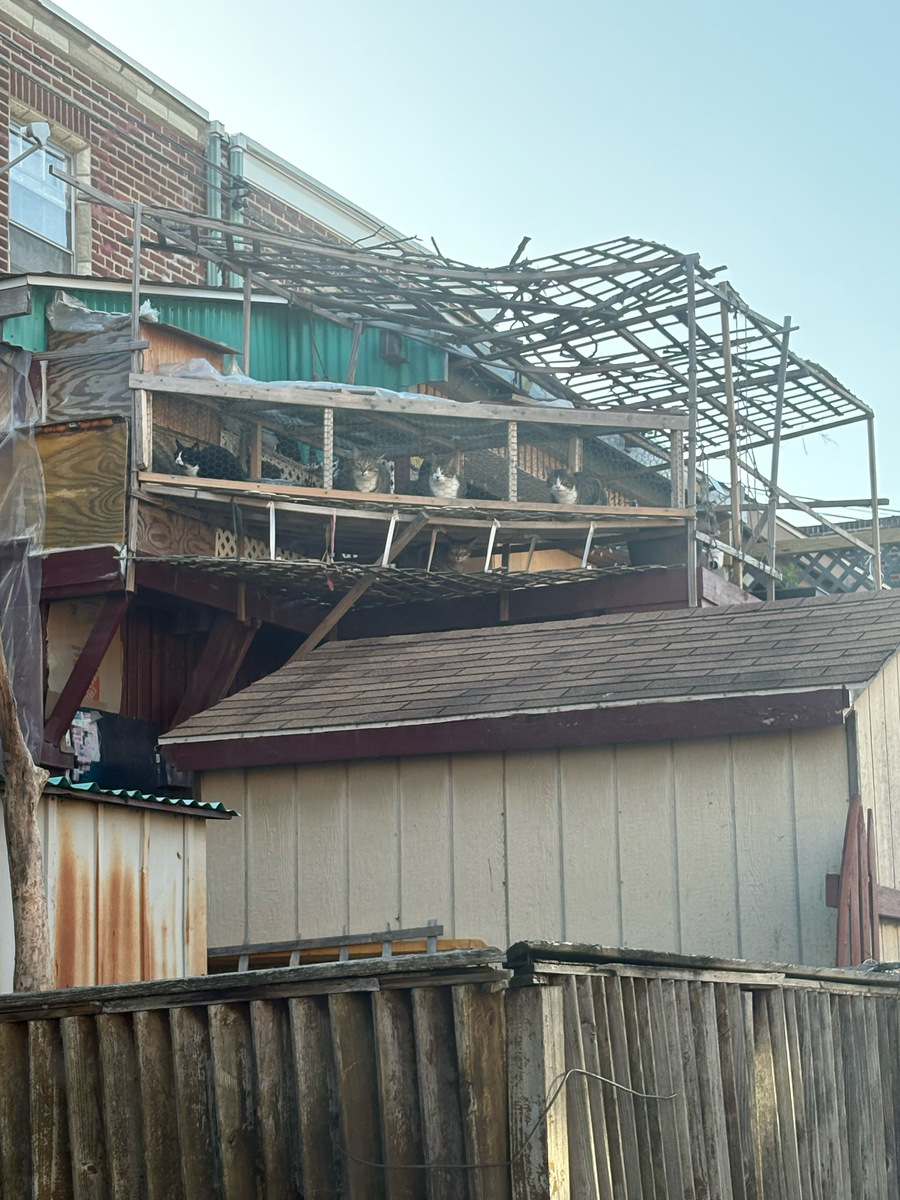 Photographic documentation of the work as submitted to the city's 311 record.