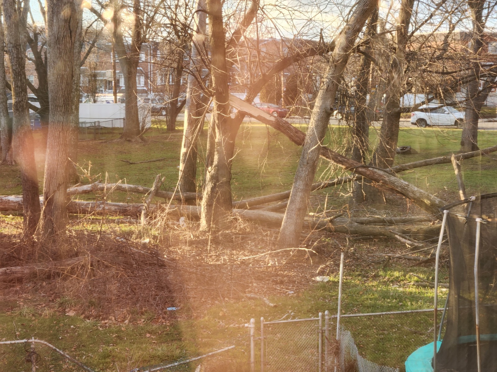 Photographic documentation of the work as submitted to the city's 311 record.
