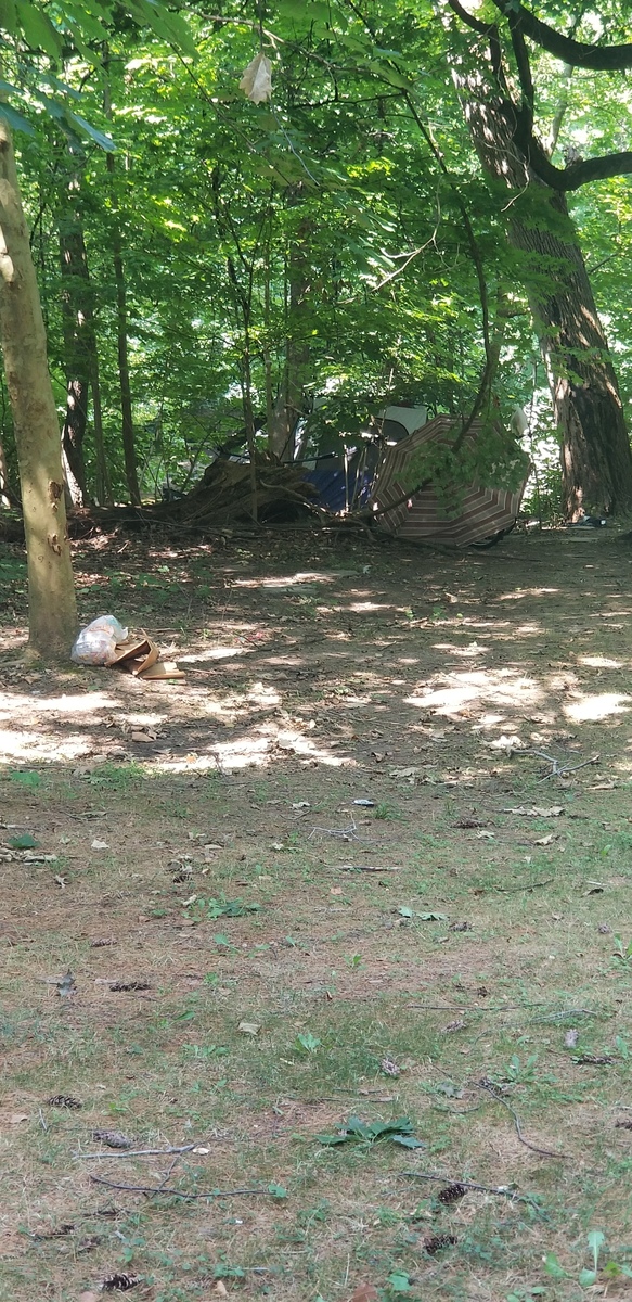 Photographic documentation of the work as submitted to the city's 311 record.