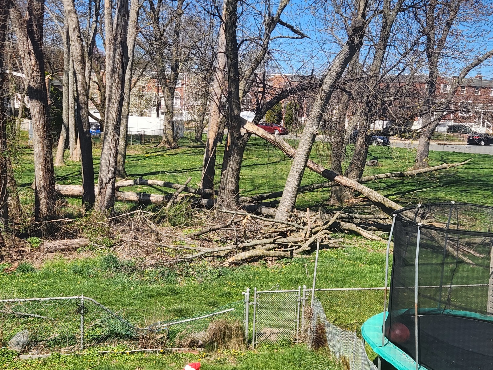 Photographic documentation of the work as submitted to the city's 311 record.