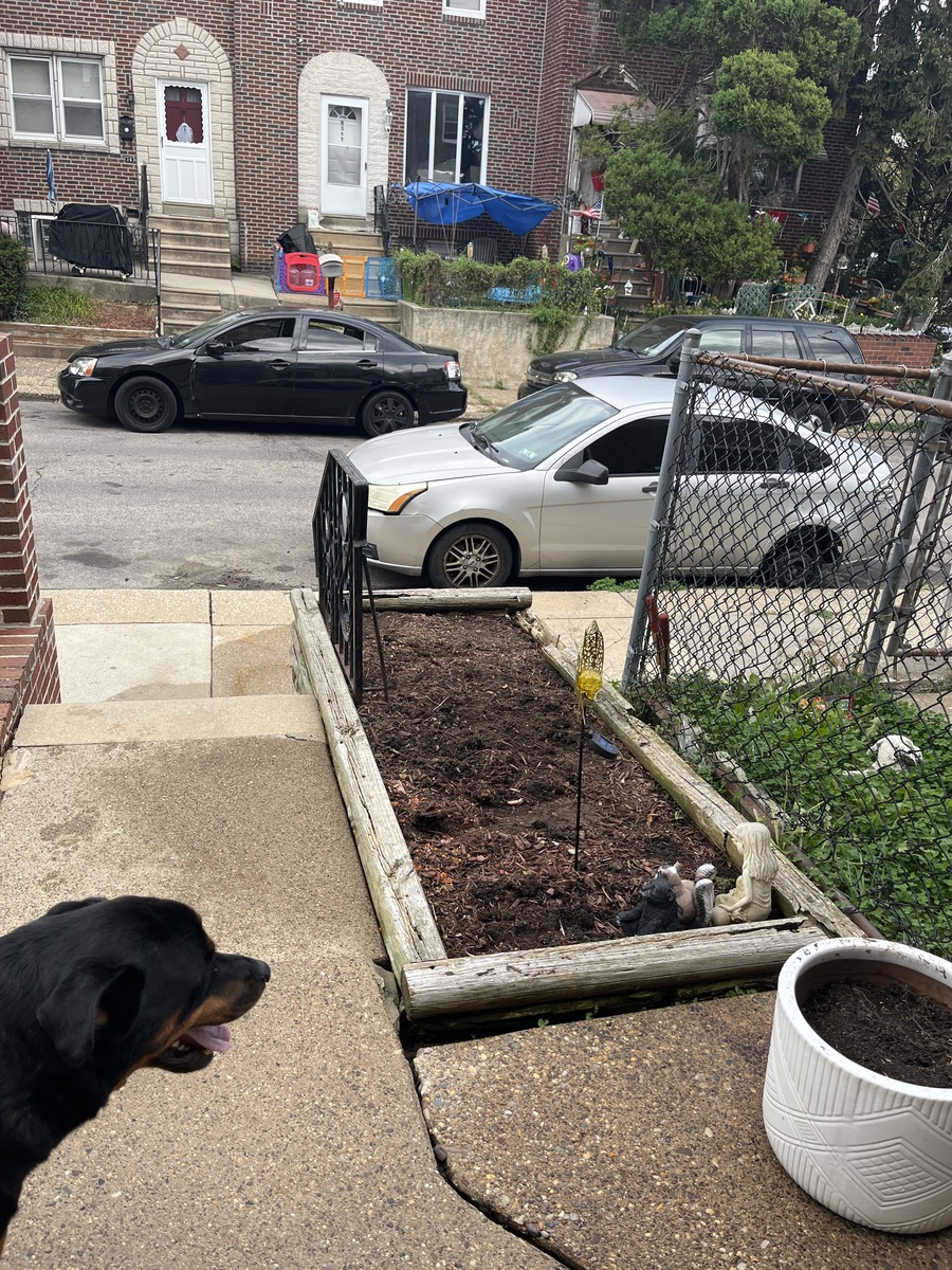 Photographic documentation of the work as submitted to the city's 311 record.