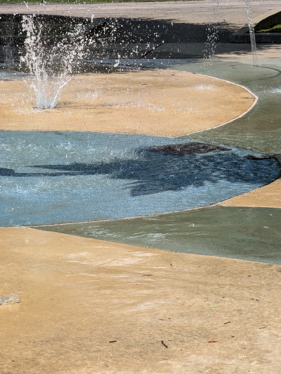 Photographic documentation of the work as submitted to the city's 311 record.