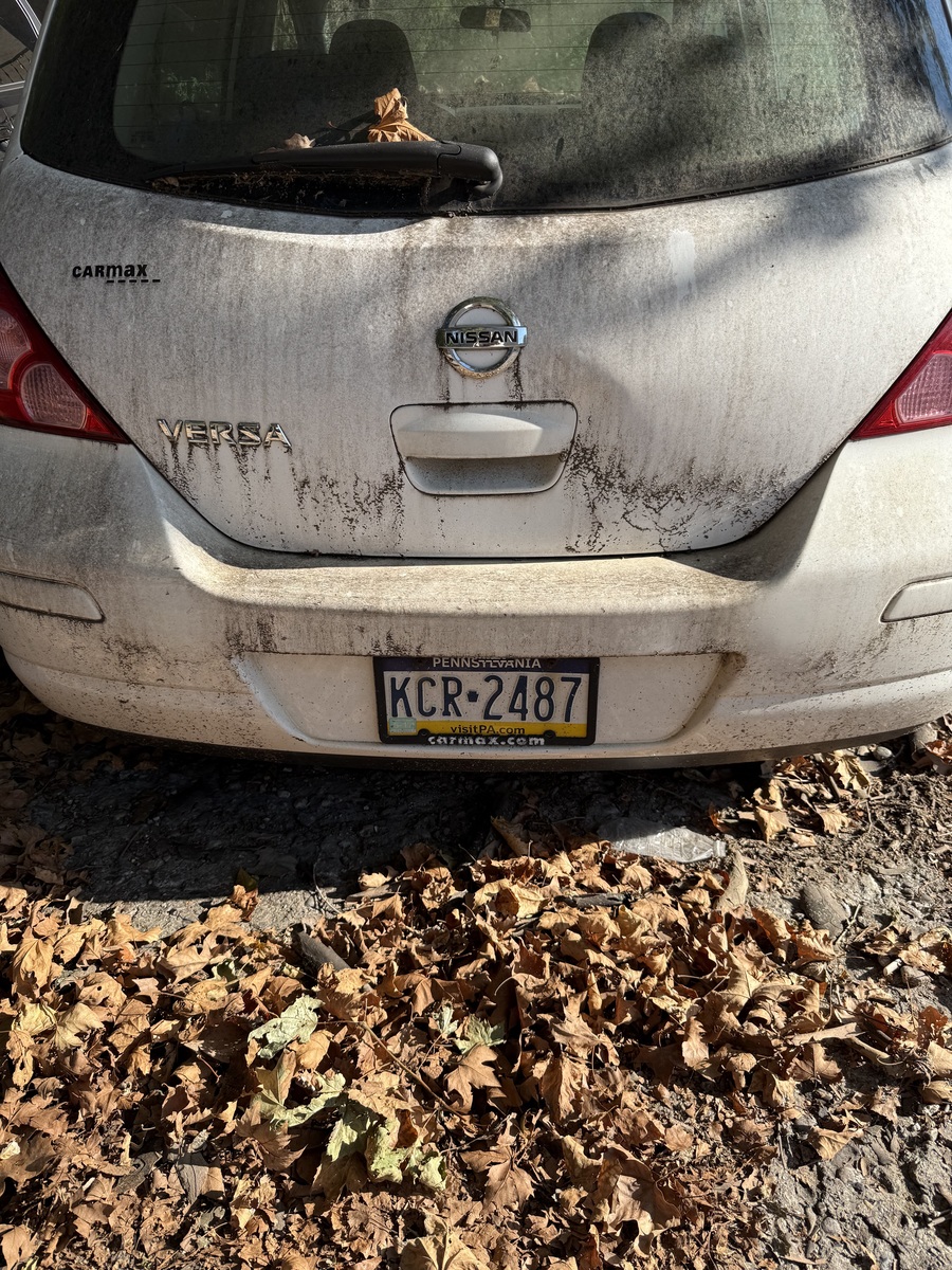 Photographic documentation of the work as submitted to the city's 311 record.