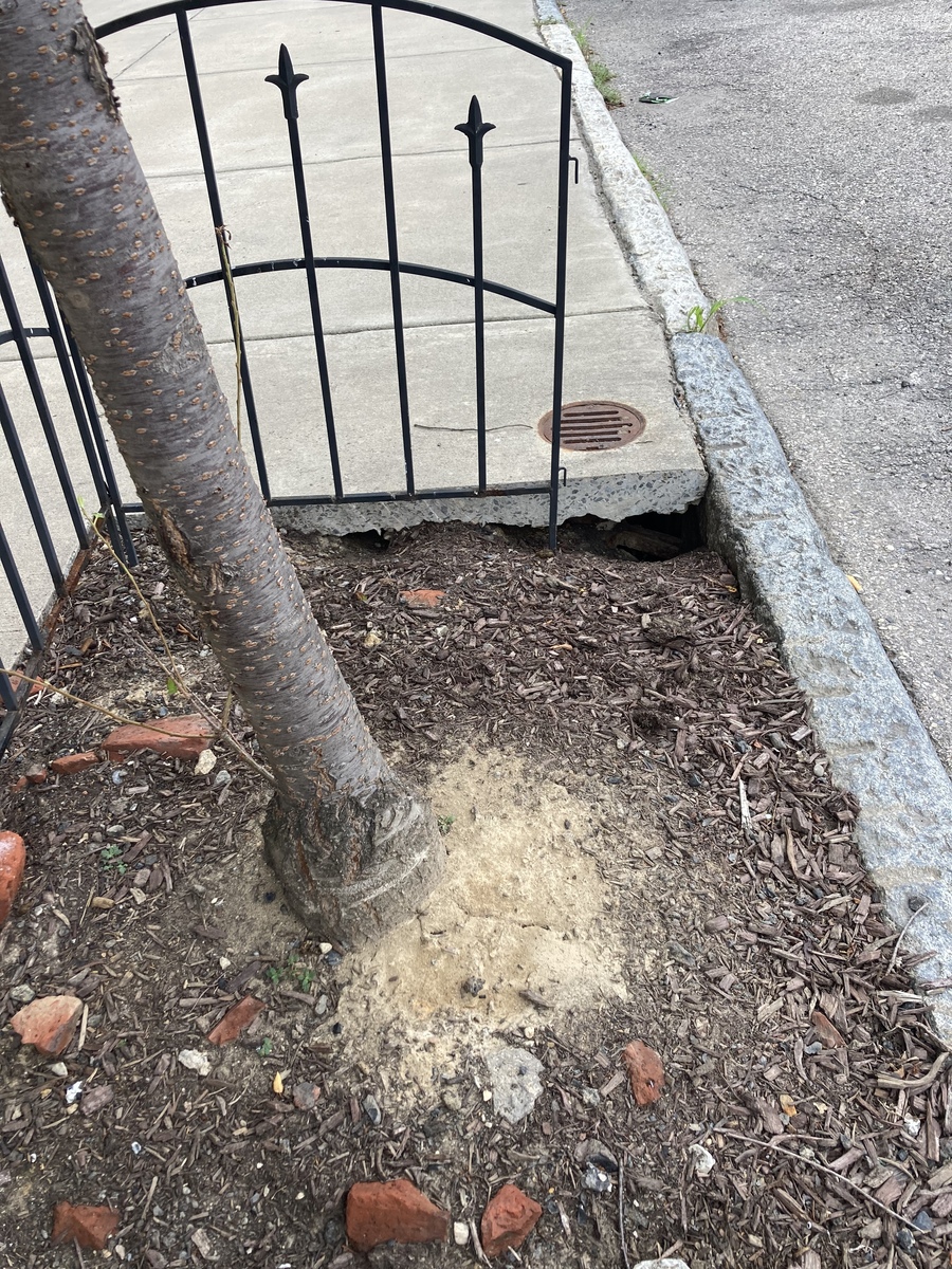 Photographic documentation of the work as submitted to the city's 311 record.