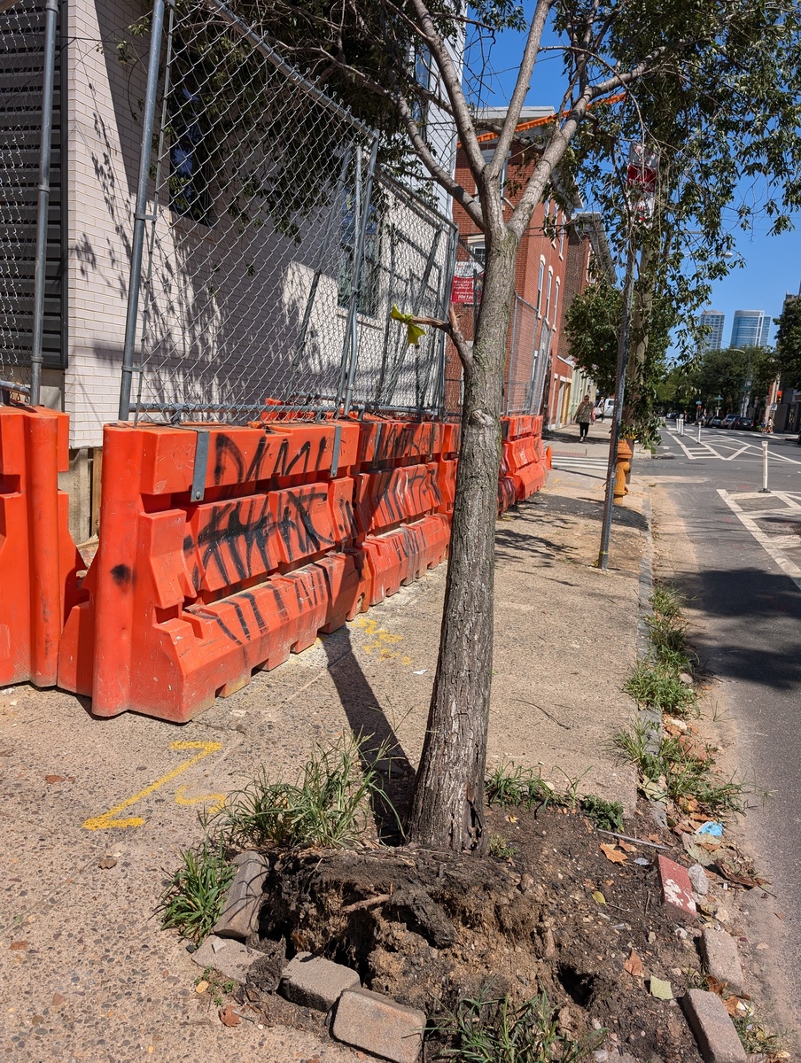 Photographic documentation of the work as submitted to the city's 311 record.