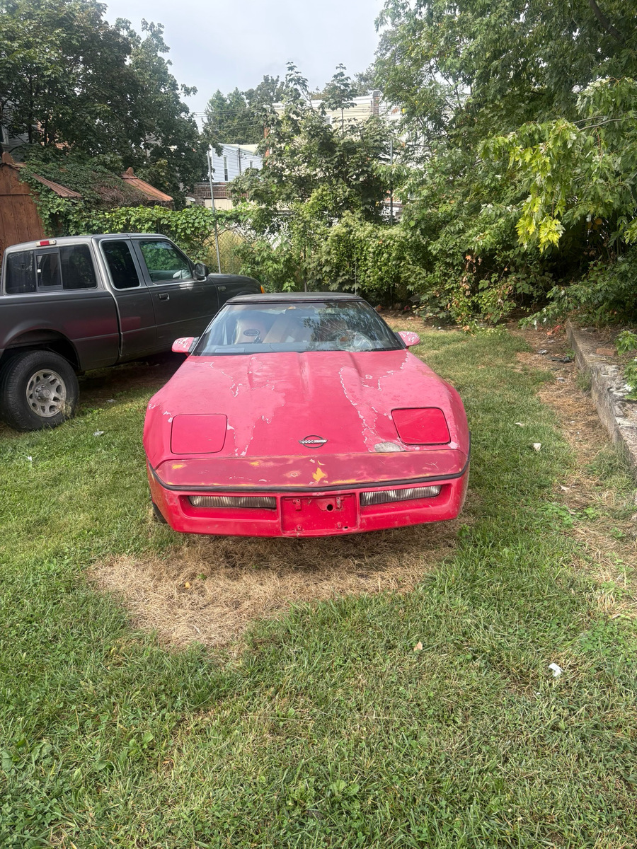 Photographic documentation of the work as submitted to the city's 311 record.