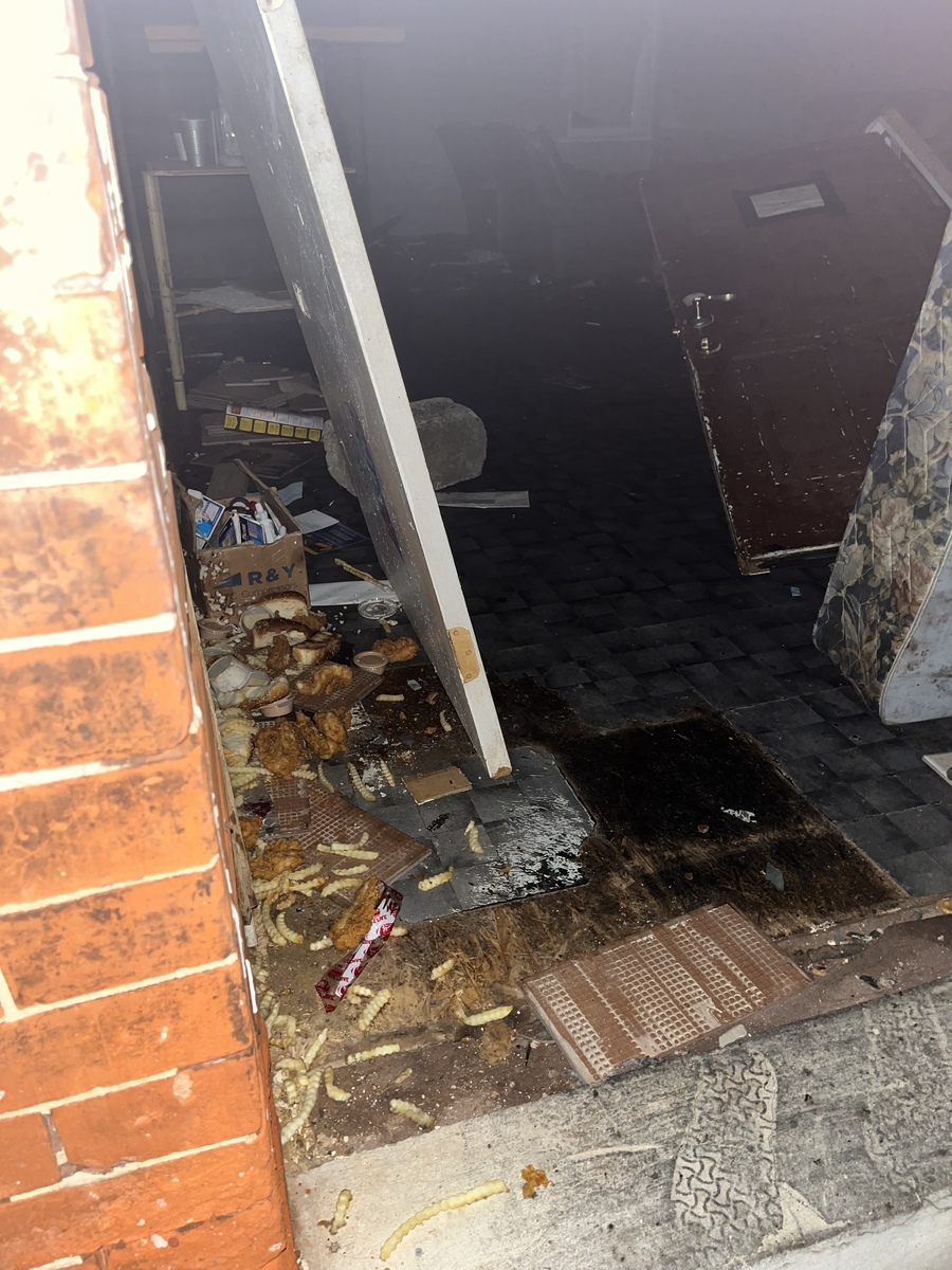 Photographic documentation of the work as submitted to the city's 311 record.
