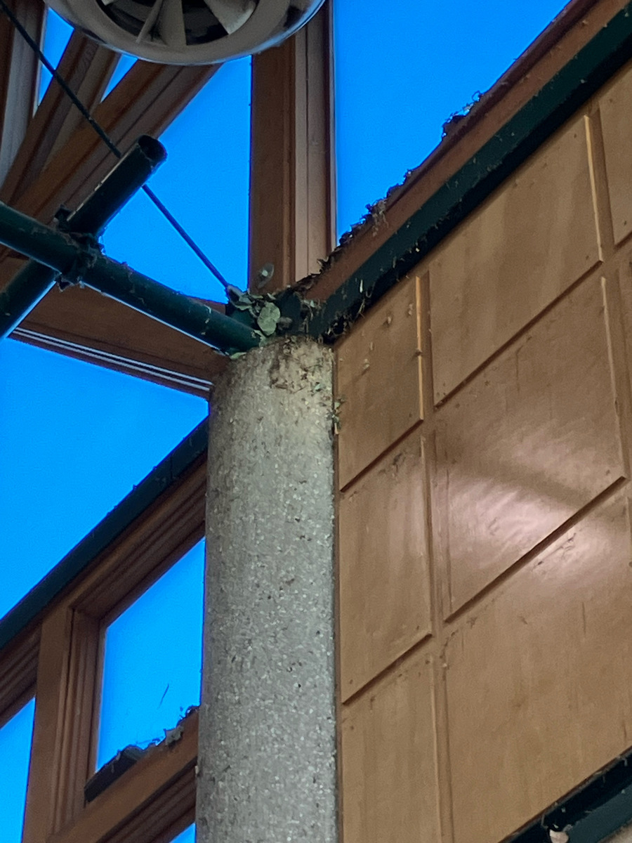 Photographic documentation of the work as submitted to the city's 311 record.