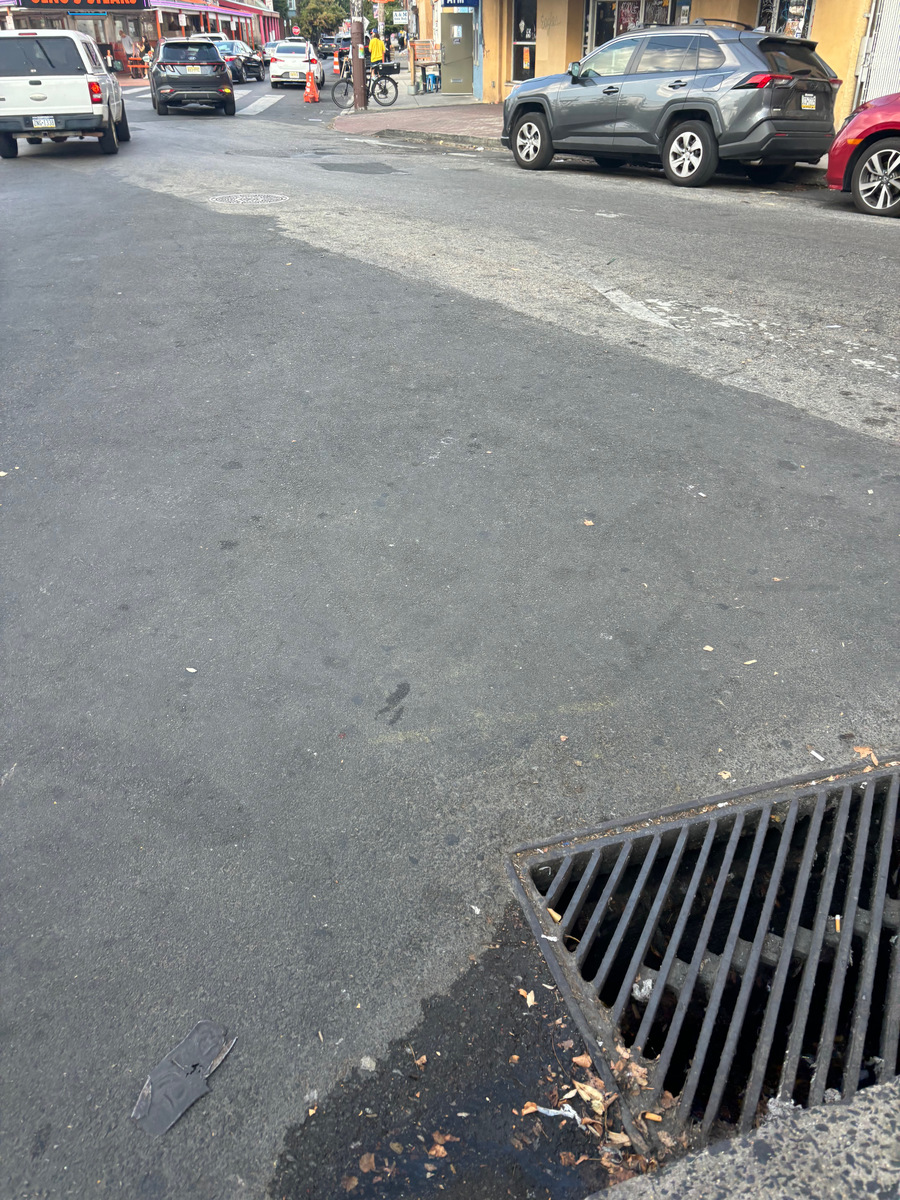 Photographic documentation of the work as submitted to the city's 311 record.