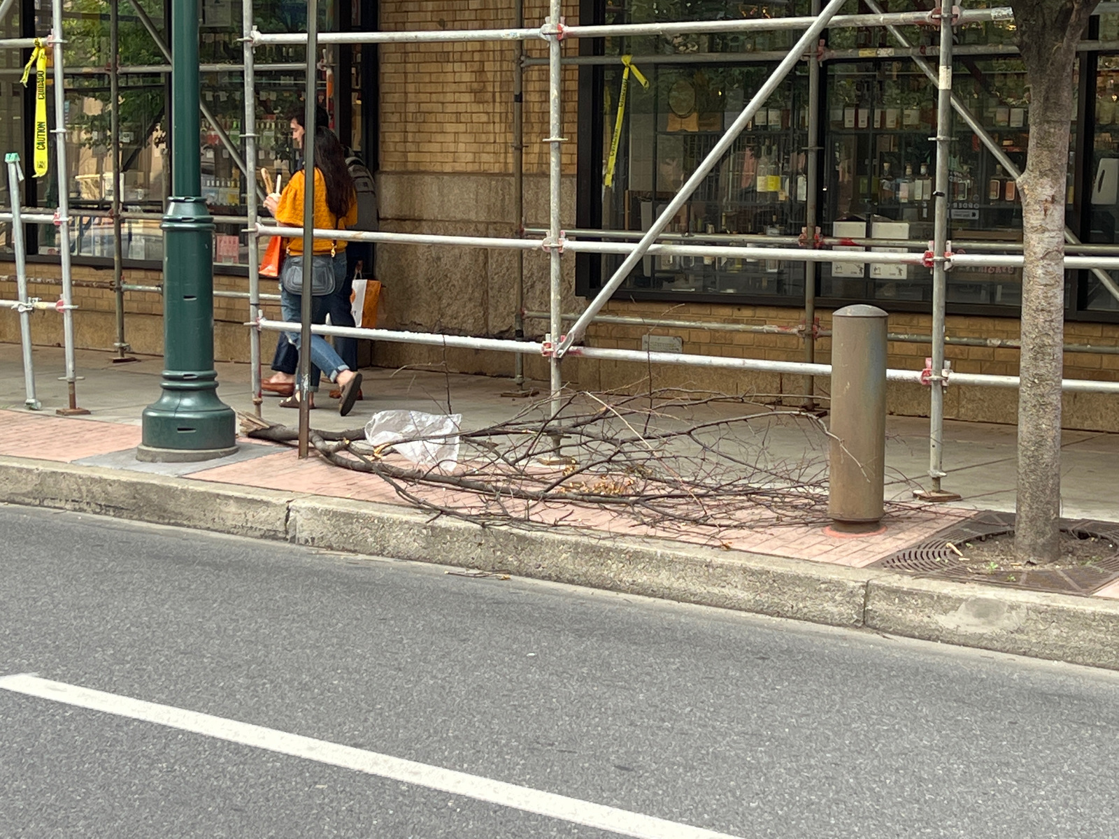 Photographic documentation of the work as submitted to the city's 311 record.