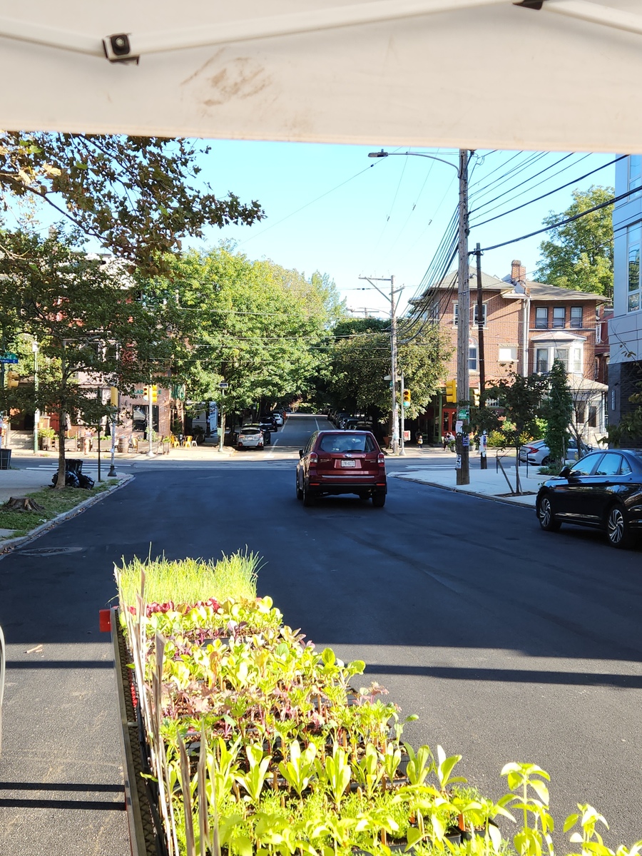 Photographic documentation of the work as submitted to the city's 311 record.