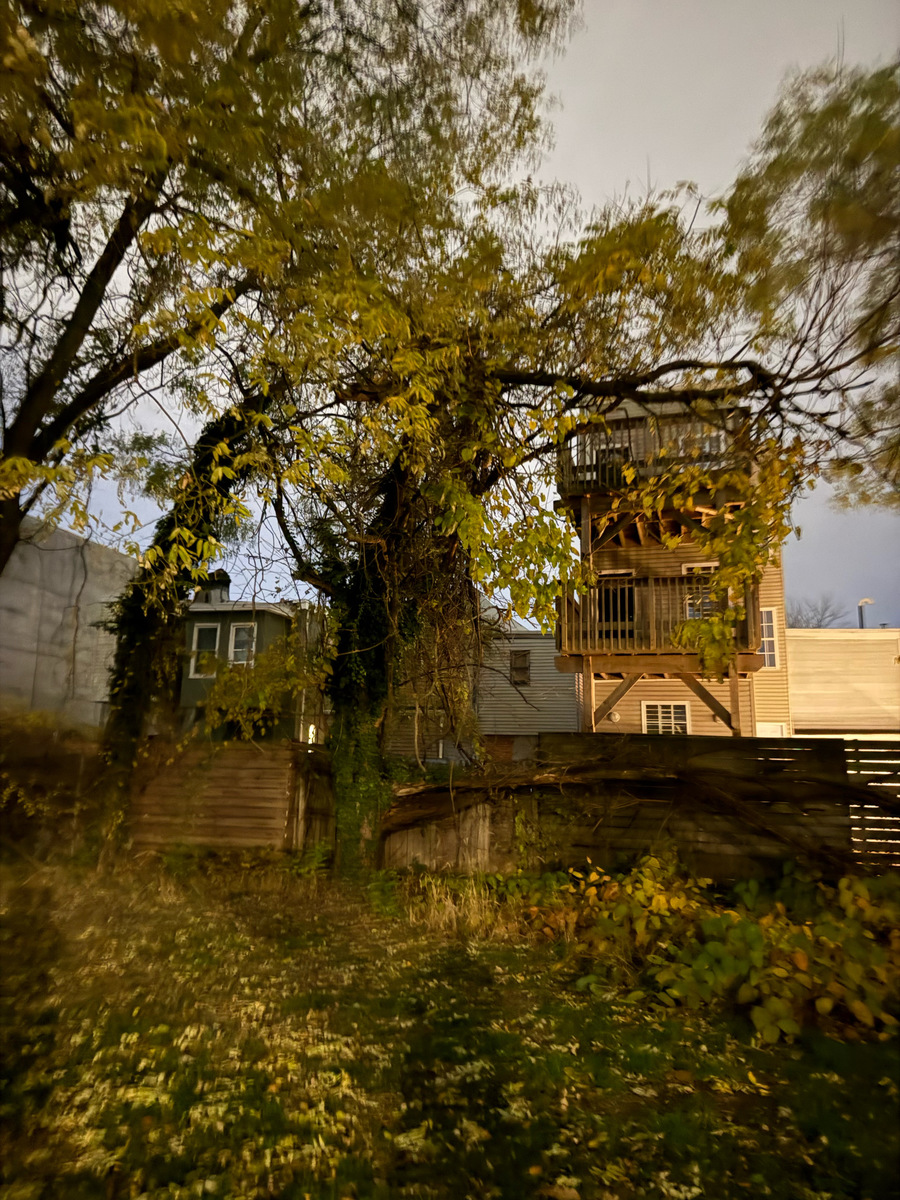 Photographic documentation of the work as submitted to the city's 311 record.