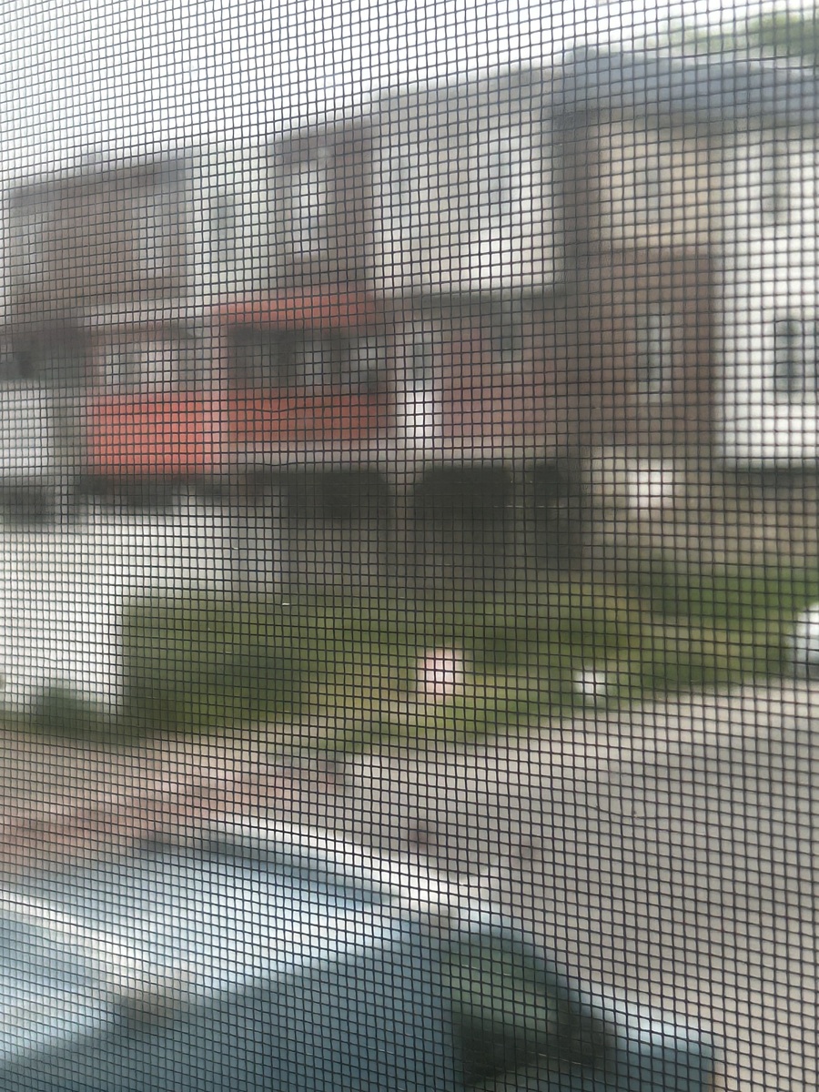 Photographic documentation of the work as submitted to the city's 311 record.