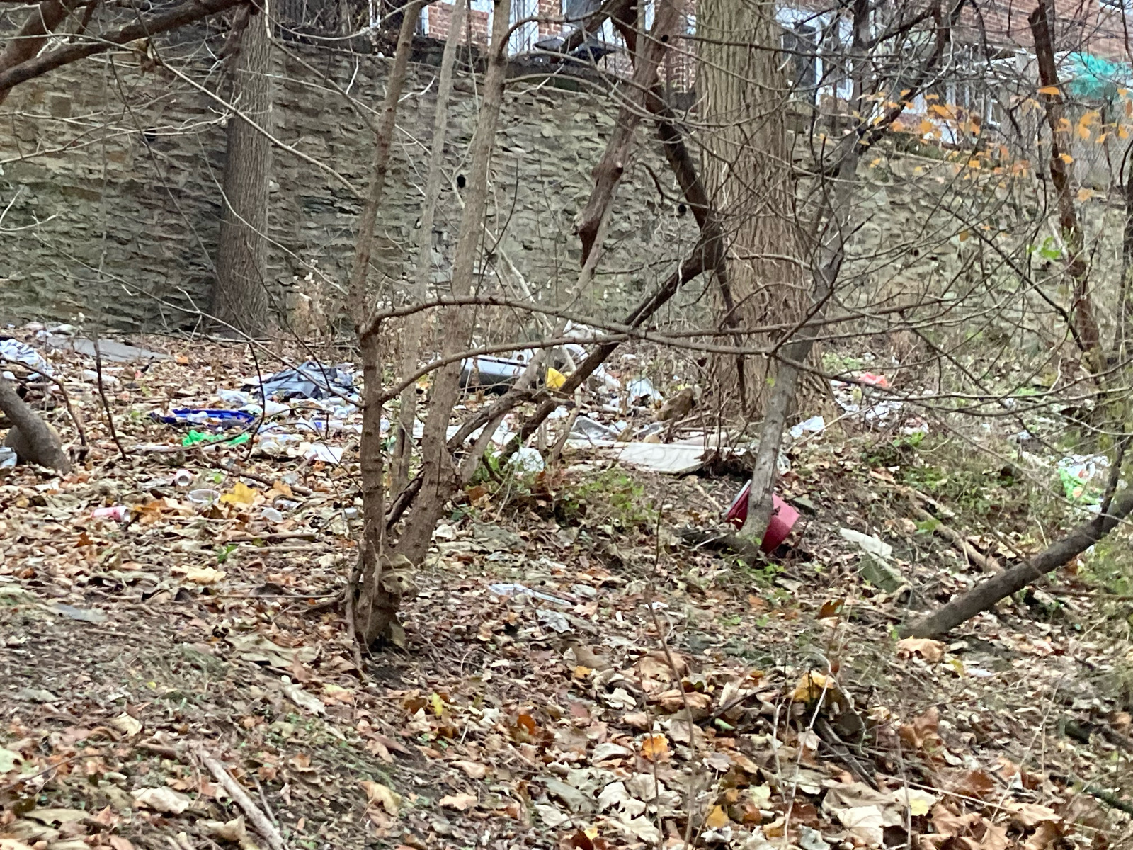 Photographic documentation of the work as submitted to the city's 311 record.