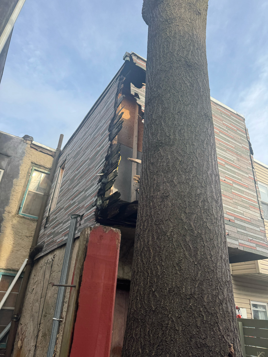 Photographic documentation of the work as submitted to the city's 311 record.