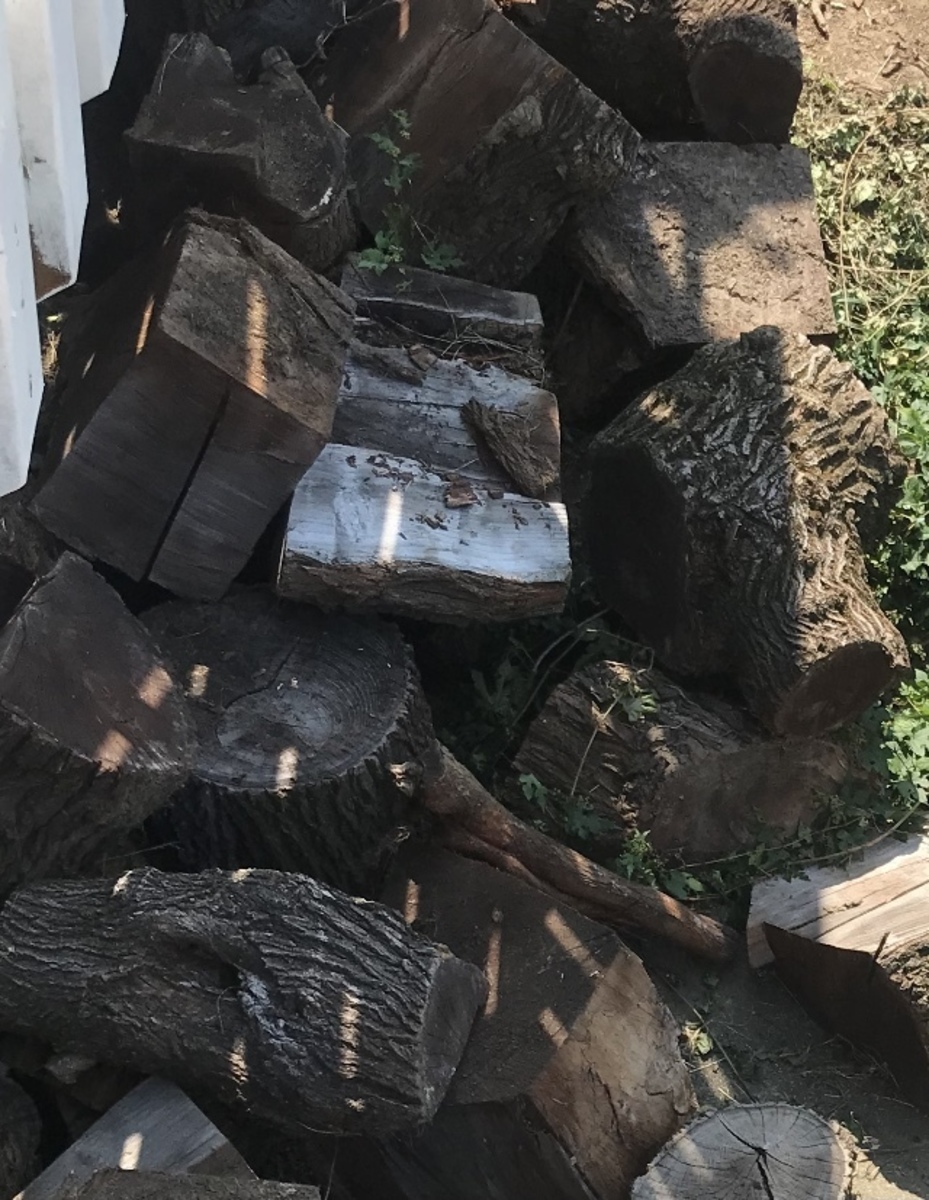 Photographic documentation of the work as submitted to the city's 311 record.