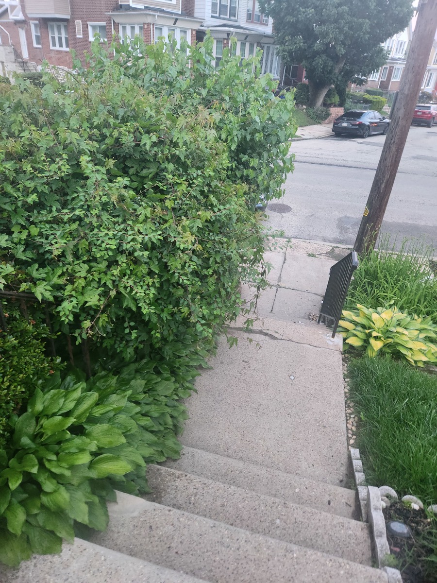 Photographic documentation of the work as submitted to the city's 311 record.