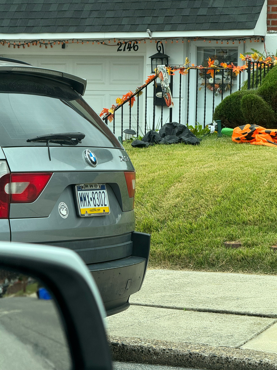 Photographic documentation of the work as submitted to the city's 311 record.