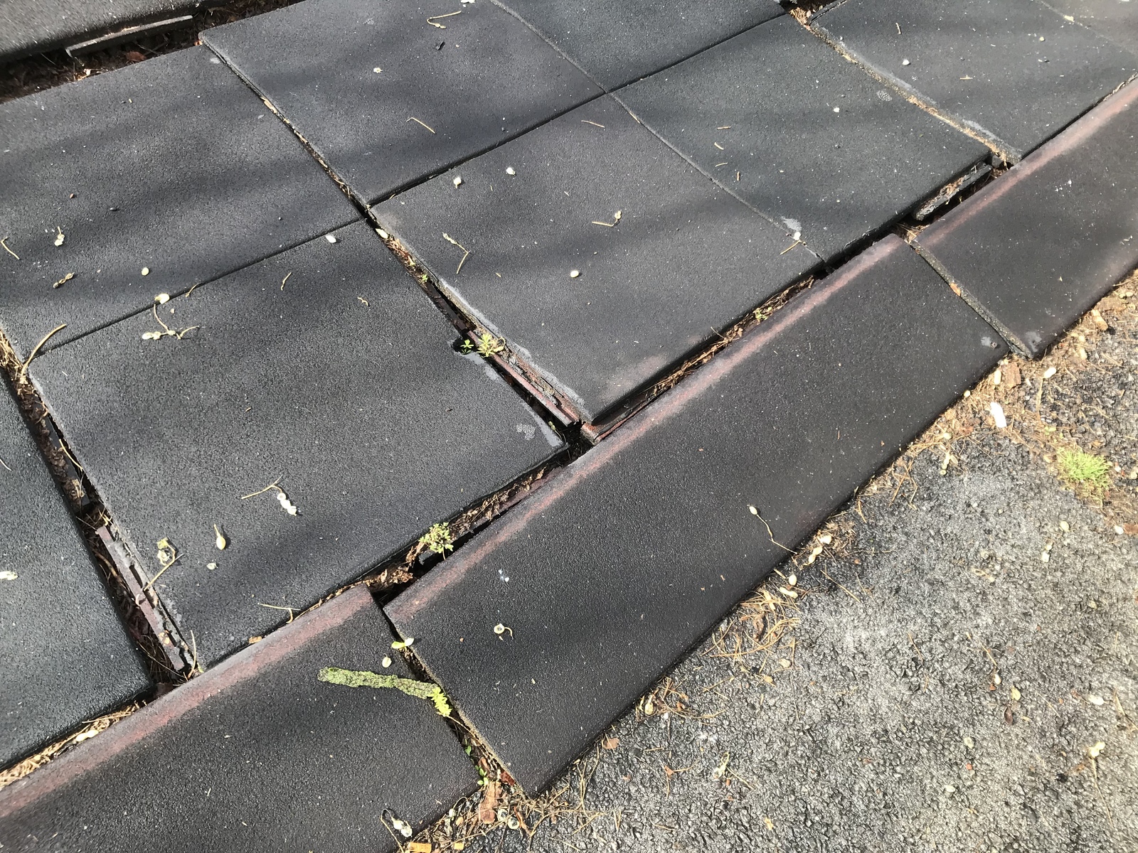 Photographic documentation of the work as submitted to the city's 311 record.