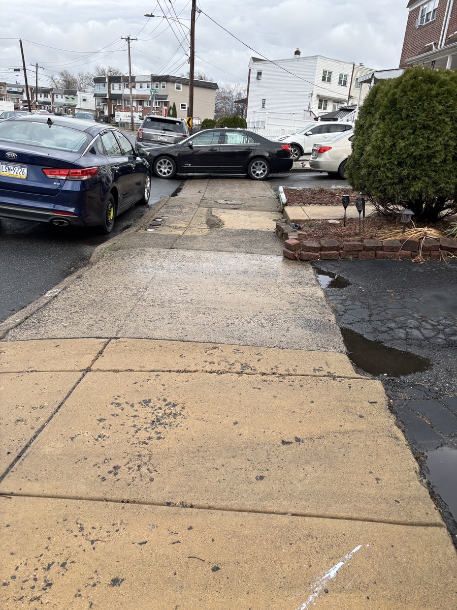 Photographic documentation of the work as submitted to the city's 311 record.
