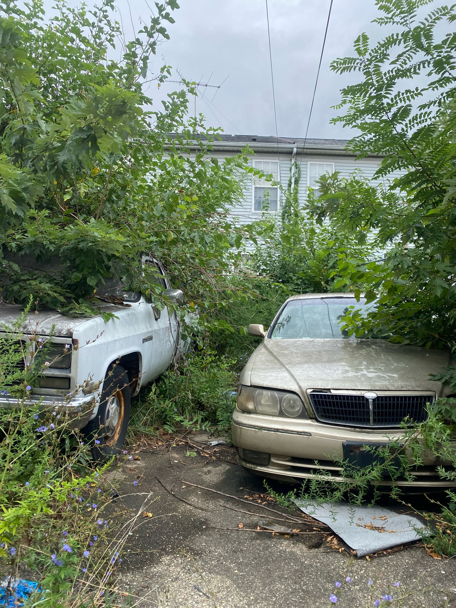 Photographic documentation of the work as submitted to the city's 311 record.