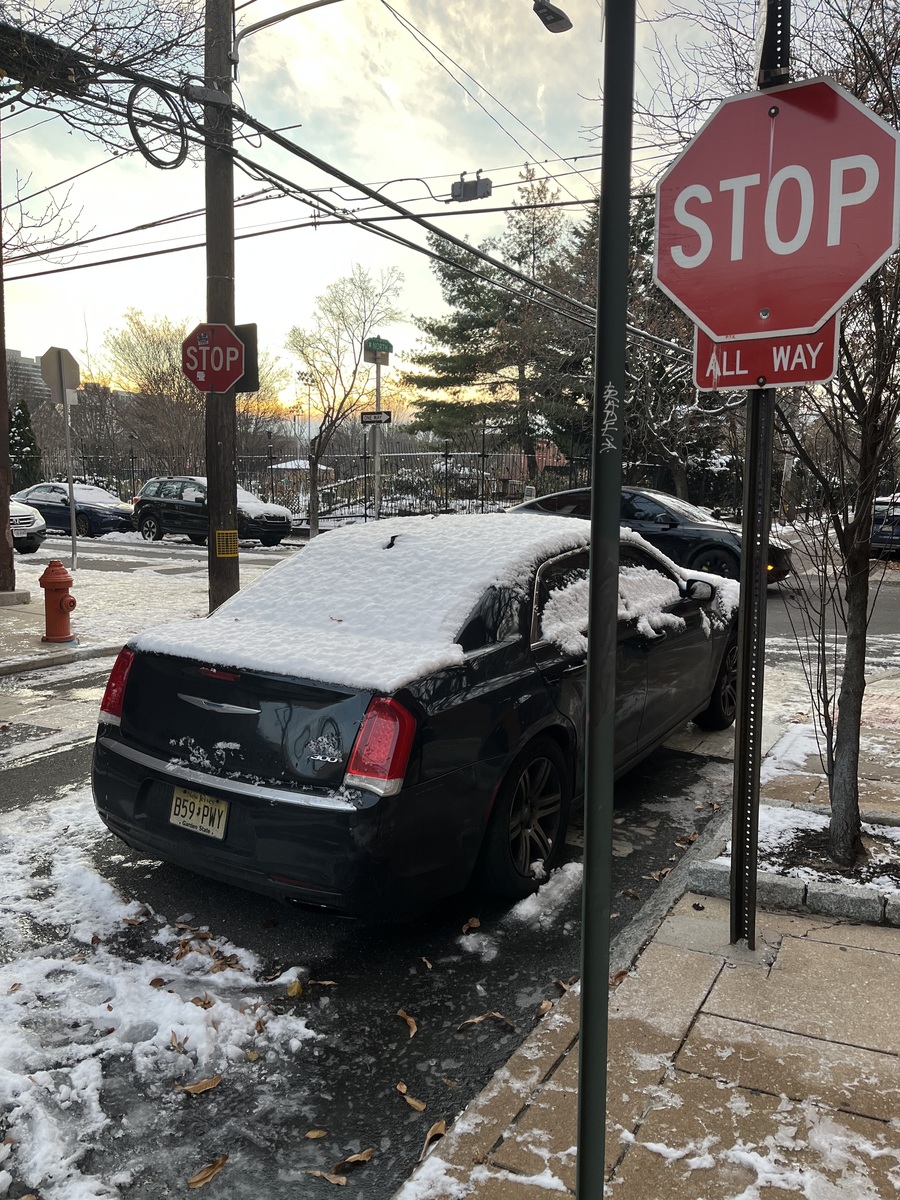 Photographic documentation of the work as submitted to the city's 311 record.