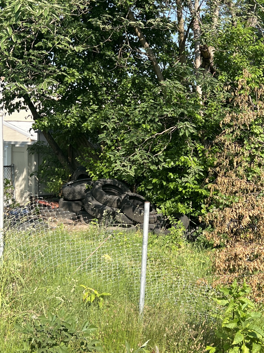 Photographic documentation of the work as submitted to the city's 311 record.