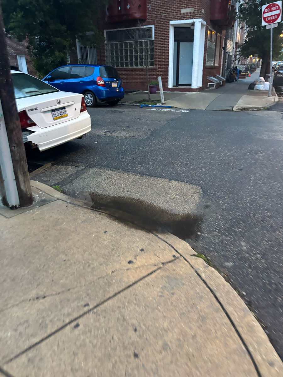 Photographic documentation of the work as submitted to the city's 311 record.