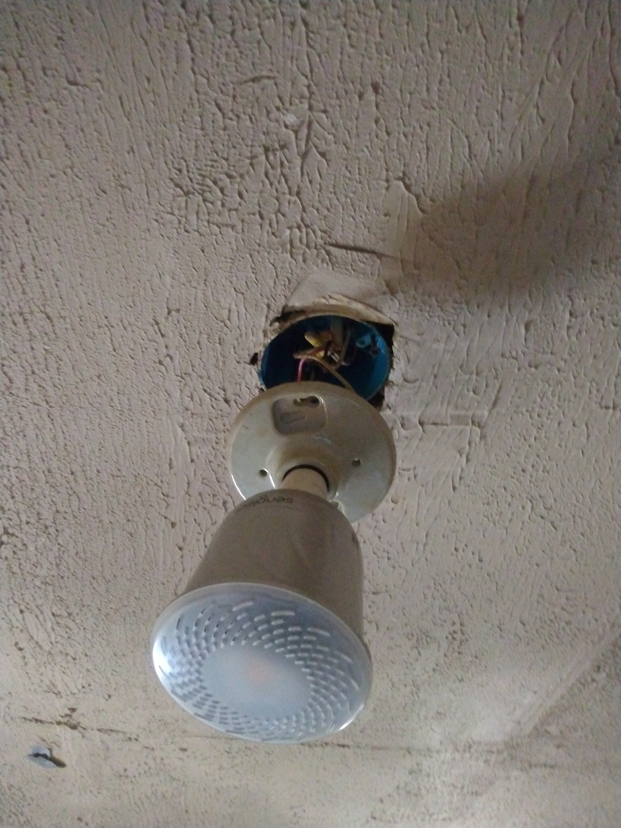 Photographic documentation of the work as submitted to the city's 311 record.