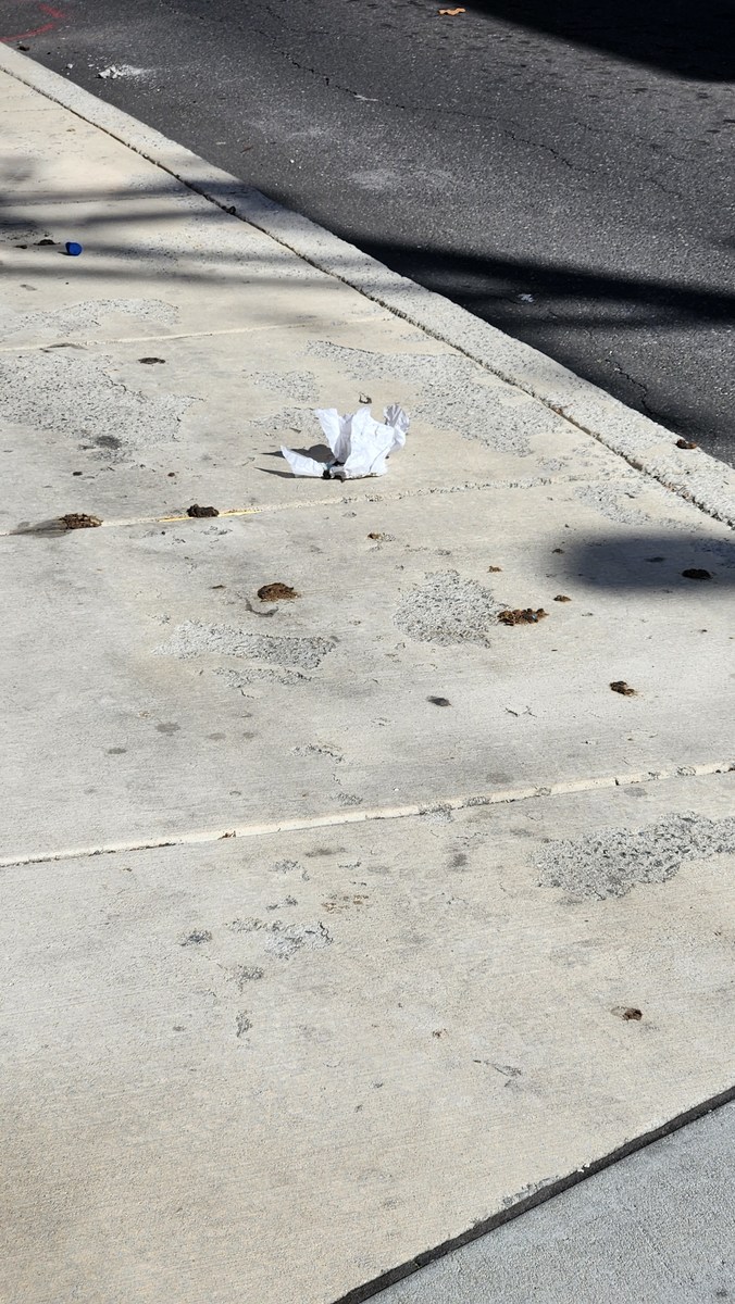 Photographic documentation of the work as submitted to the city's 311 record.