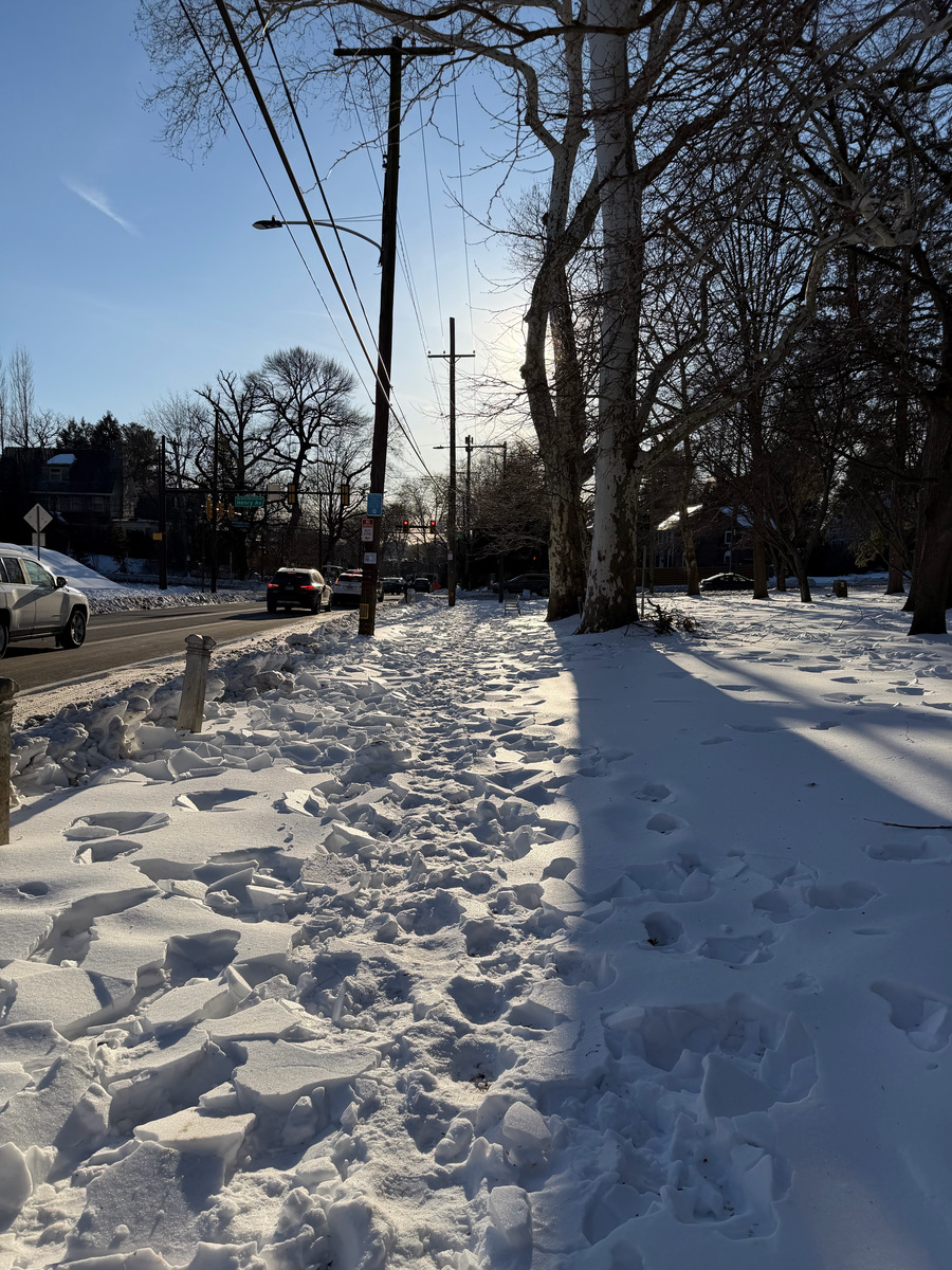 Photographic documentation of the work as submitted to the city's 311 record.