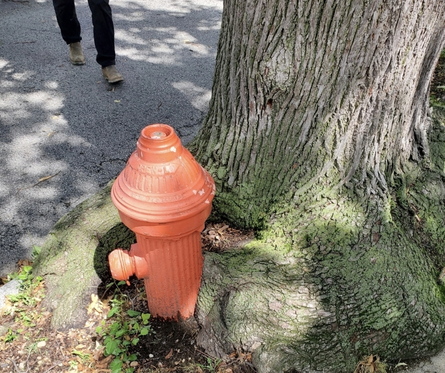 Photographic documentation of the work as submitted to the city's 311 record.