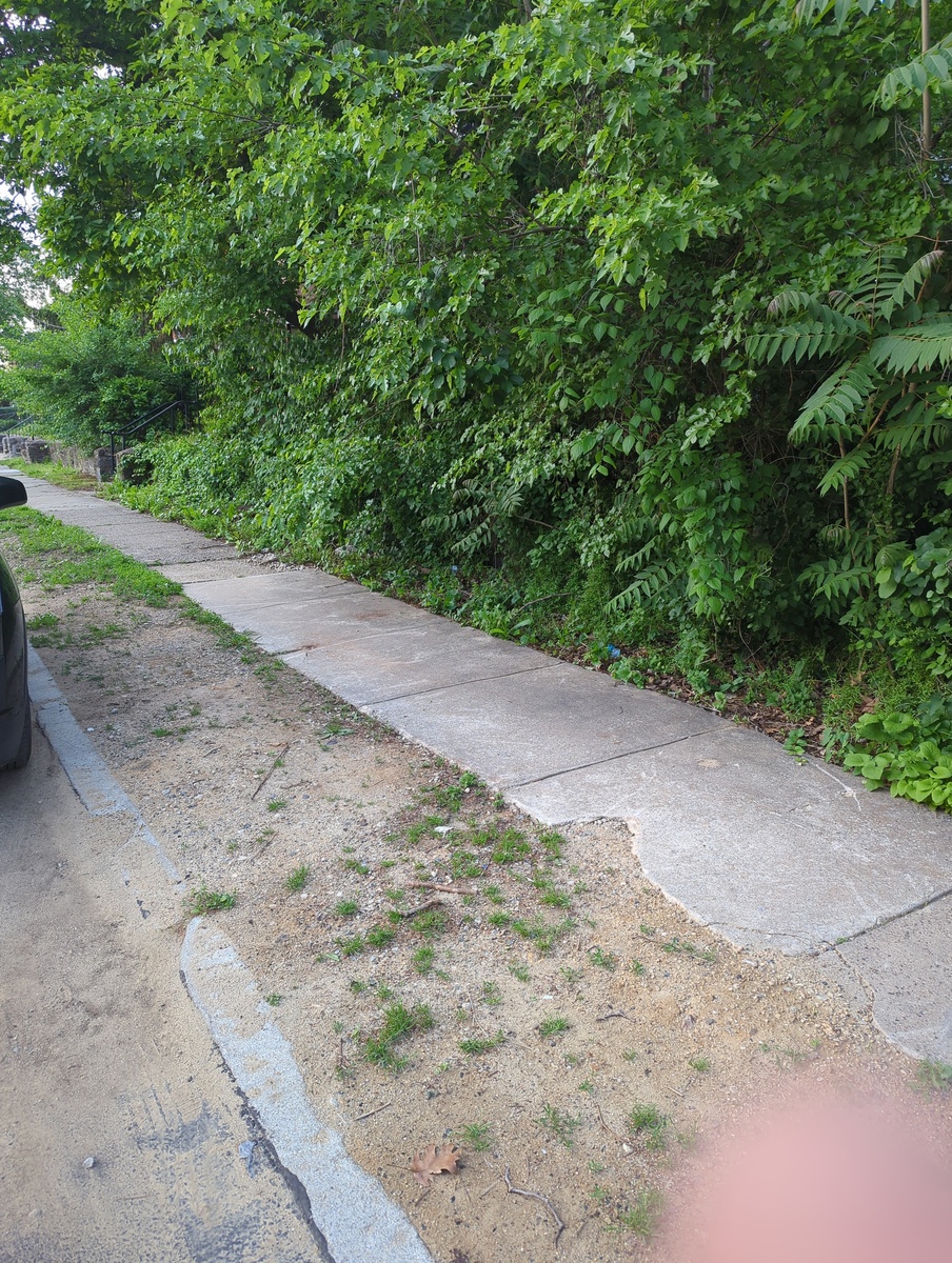 Photographic documentation of the work as submitted to the city's 311 record.