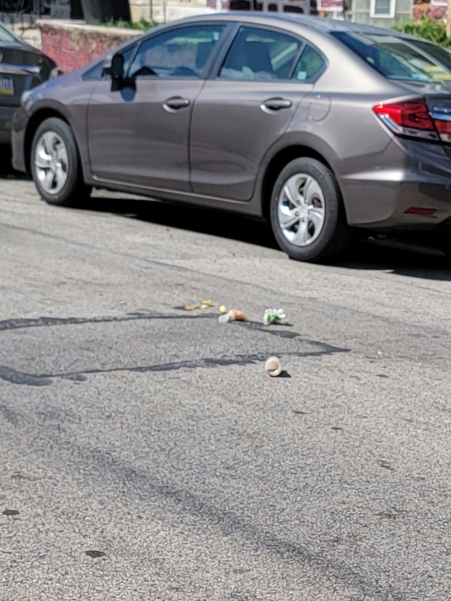 Photographic documentation of the work as submitted to the city's 311 record.