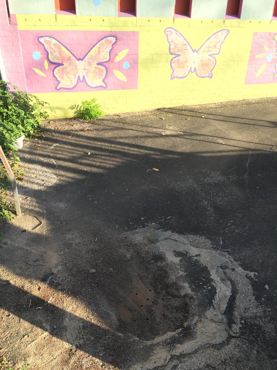 Photographic documentation of the work as submitted to the city's 311 record.