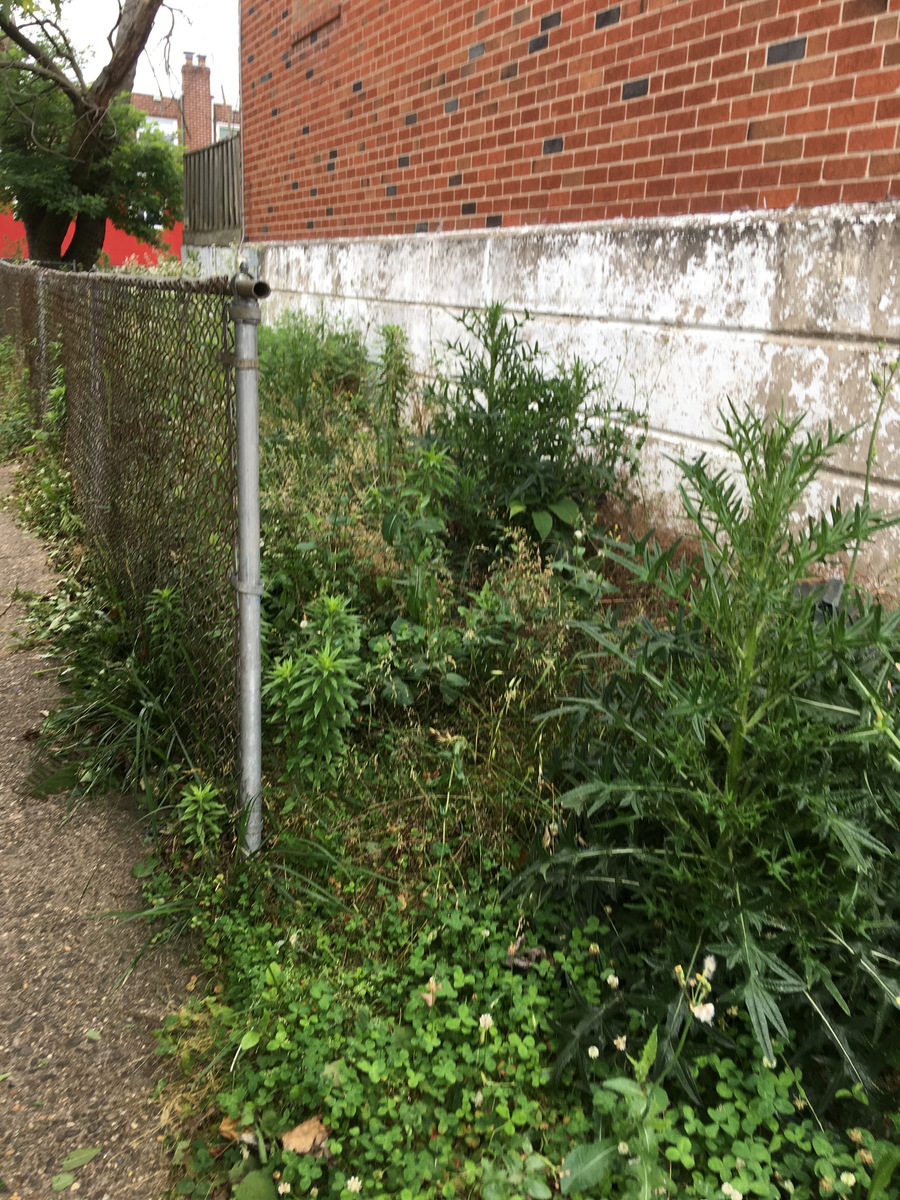 Photographic documentation of the work as submitted to the city's 311 record.