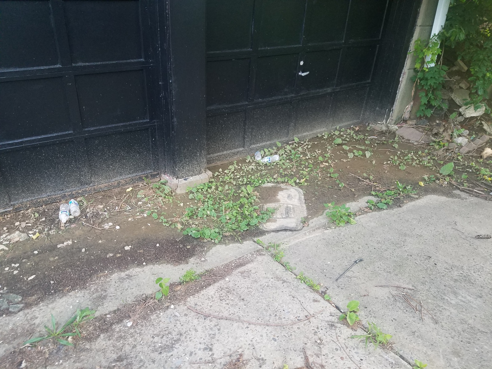 Photographic documentation of the work as submitted to the city's 311 record.