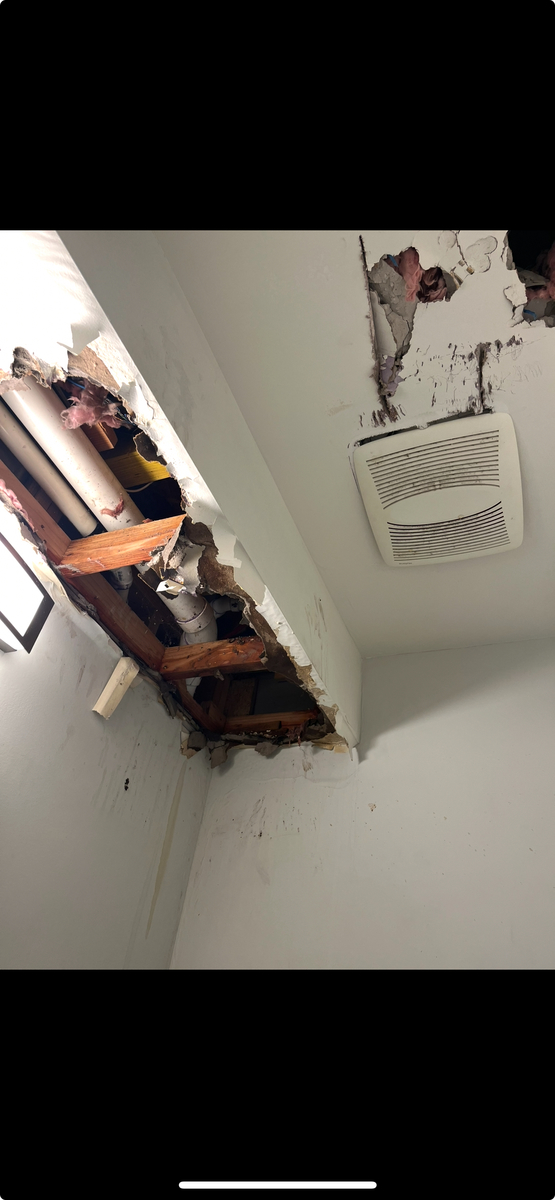 Photographic documentation of the work as submitted to the city's 311 record.