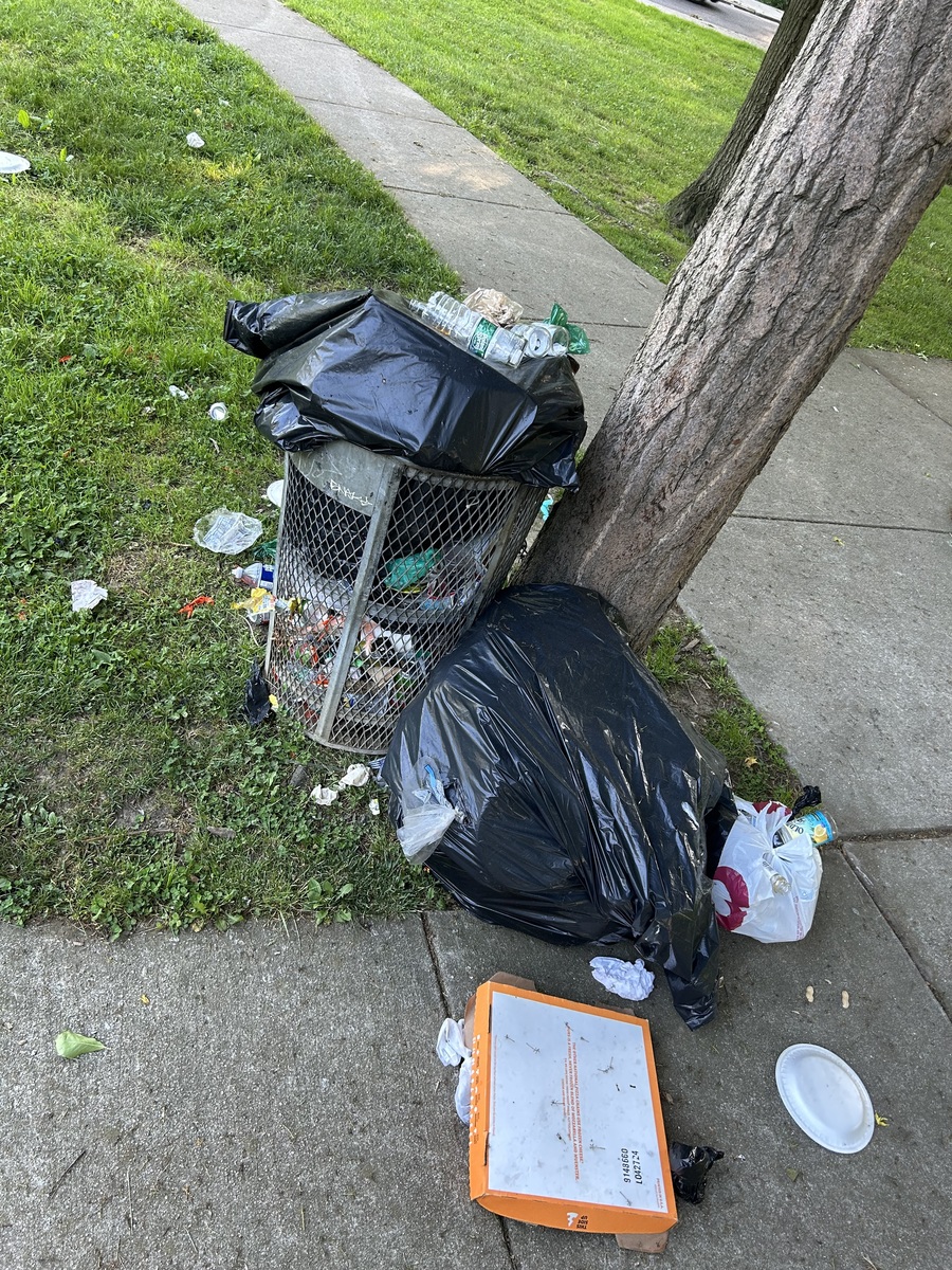 Photographic documentation of the work as submitted to the city's 311 record.