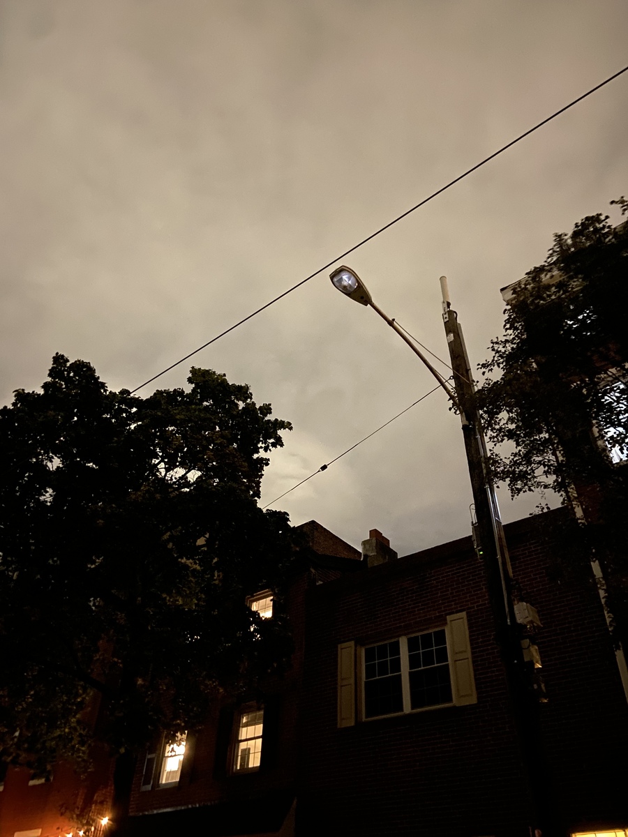 Photographic documentation of the work as submitted to the city's 311 record.