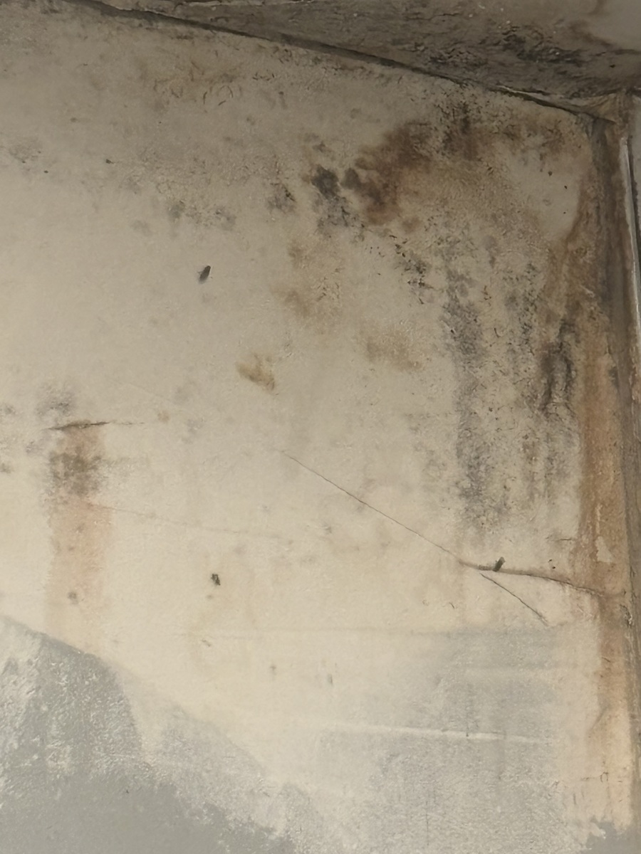 Photographic documentation of the work as submitted to the city's 311 record.