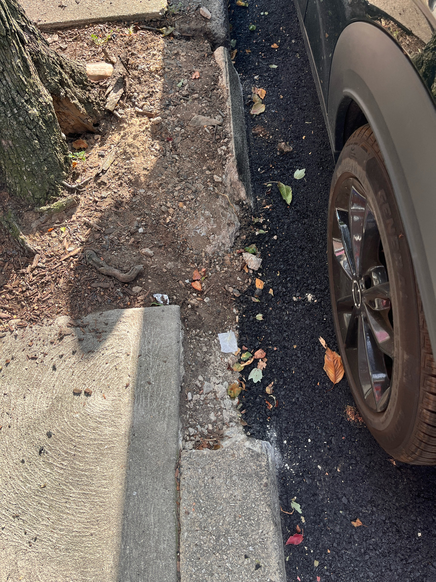 Photographic documentation of the work as submitted to the city's 311 record.
