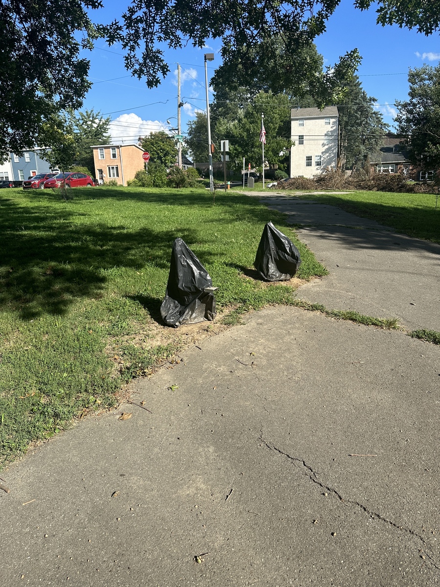 Photographic documentation of the work as submitted to the city's 311 record.
