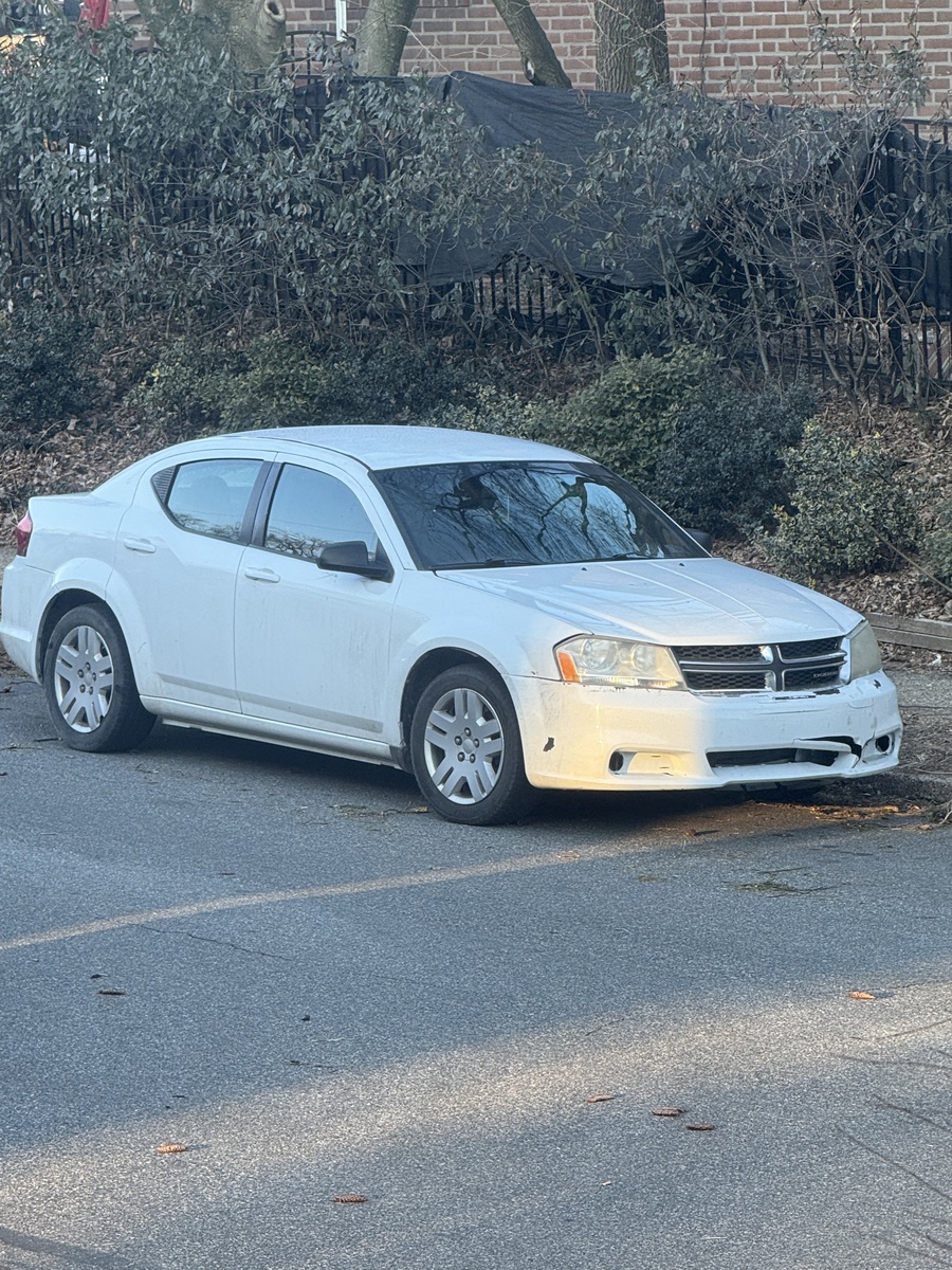 Photographic documentation of the work as submitted to the city's 311 record.