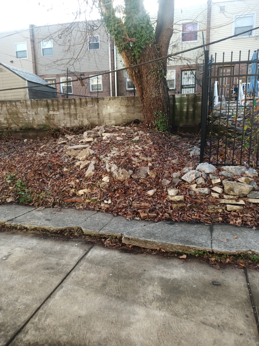 Photographic documentation of the work as submitted to the city's 311 record.