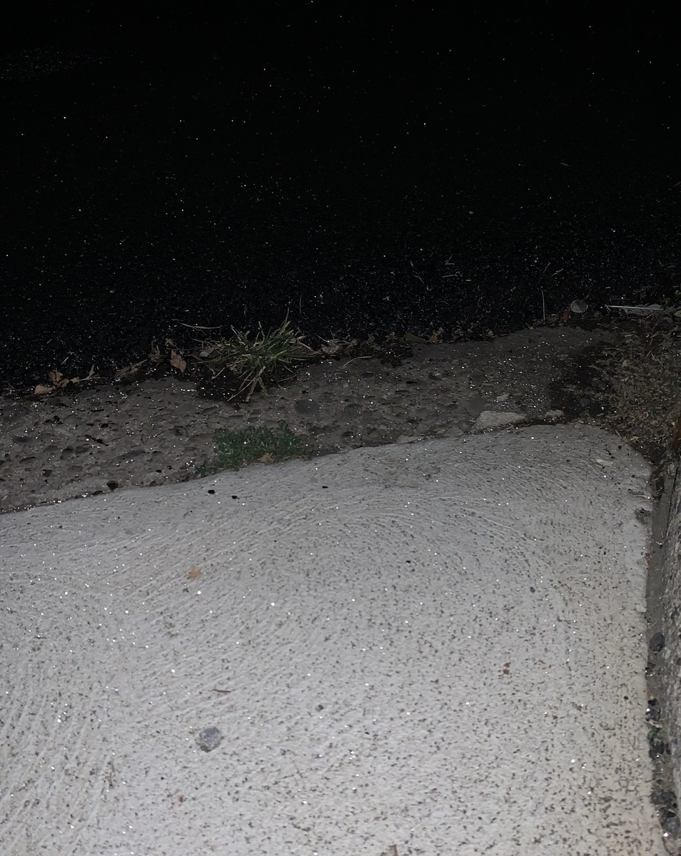 Photographic documentation of the work as submitted to the city's 311 record.
