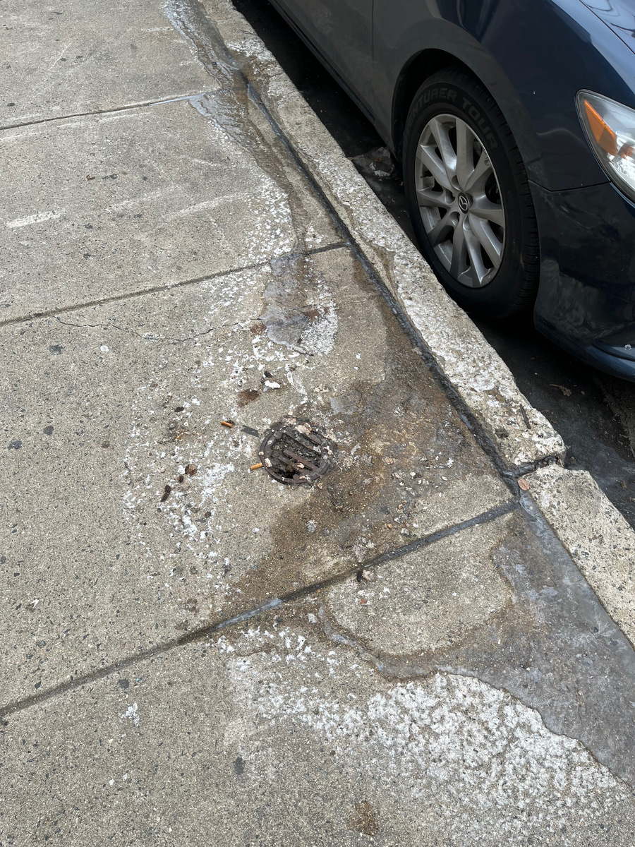 Photographic documentation of the work as submitted to the city's 311 record.