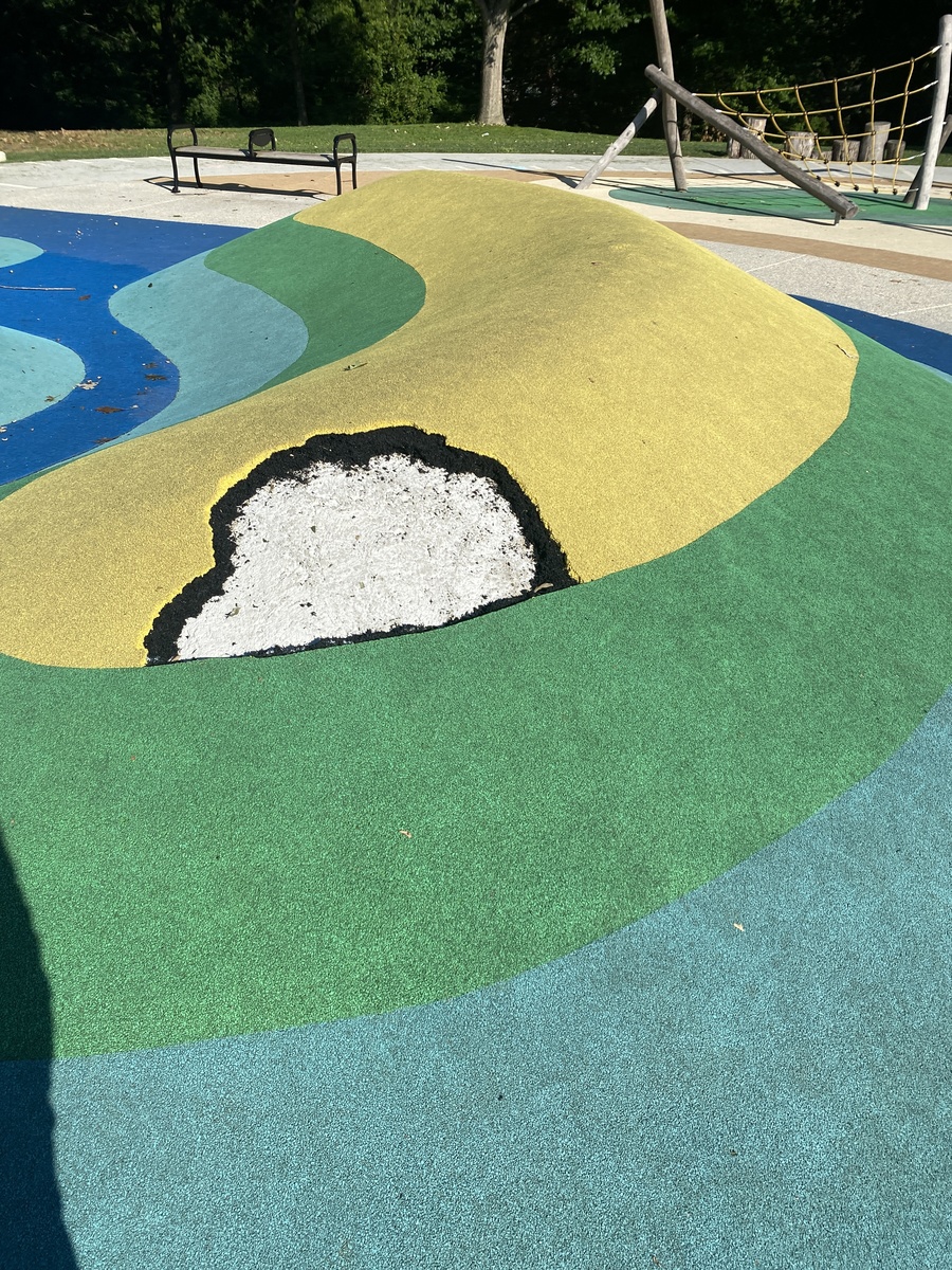 Photographic documentation of the work as submitted to the city's 311 record.